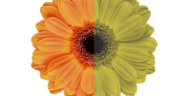 Is color blindness an esper power associated with trade-offs?