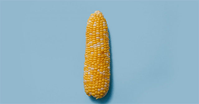 Is corn a fruit, vegetable or cereal?
