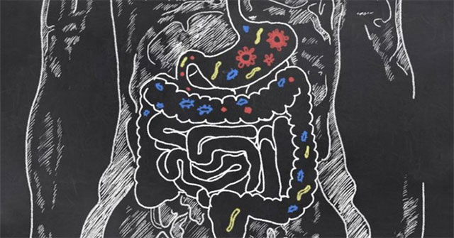 Is intestinal bacteria the cause of your 'erratic rain' mood?