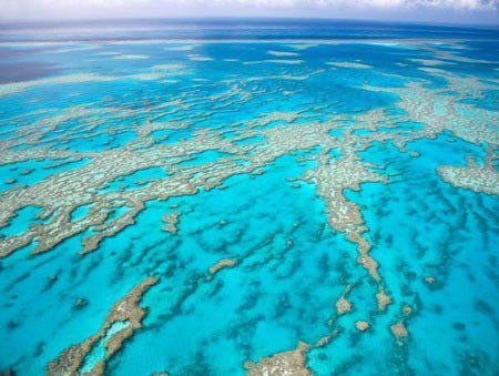 is it too late to save the oceans?