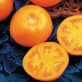 Is tangerine tomatoes the best?