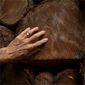 Is the 'decree' ritual really effective?