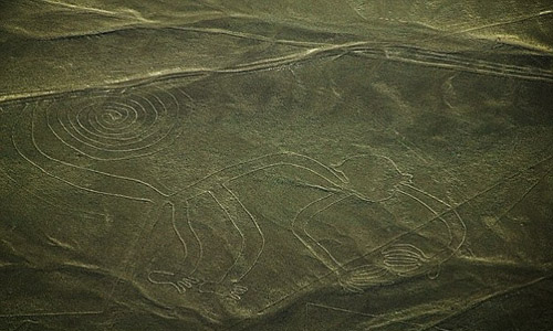 Is there a solution to the mysterious Nazca line?