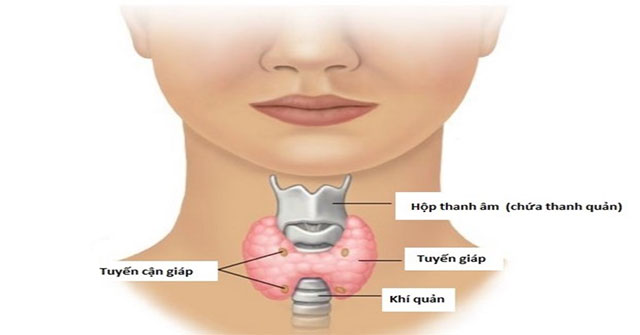 Israel breakthrough in method for detecting thyroid cancer