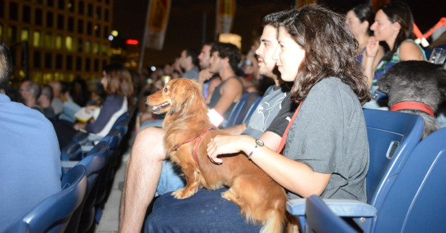 Israel has the world's first dog care digital service