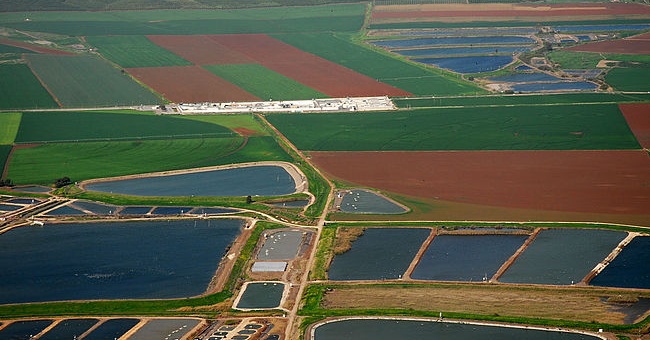 Israel's advanced irrigation method has turned arid desert into a place to grow vegetables and fish