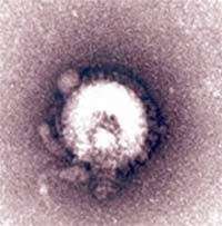 Issue new regimens to treat influenza A