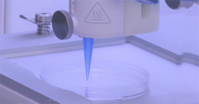 It is possible to create skin layers including blood vessels using 3D biological printers