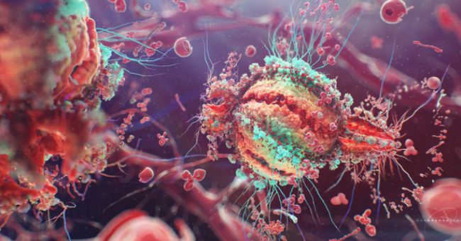 It is possible to detect HIV-infected T cells that are