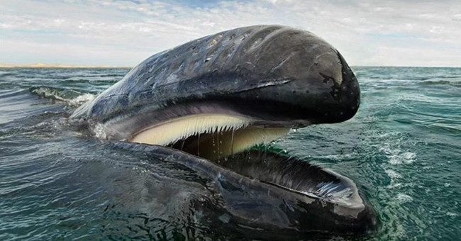 It takes 25 years for you to admire these beautiful images