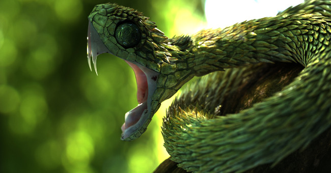 It turned out that snakes in Taylor Swift's hit song