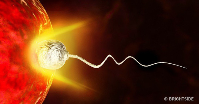 It turns out that it is the egg that determines which sperm to choose to conceive