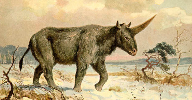 It turns out that the unicorn in the legend is real but it is terrible