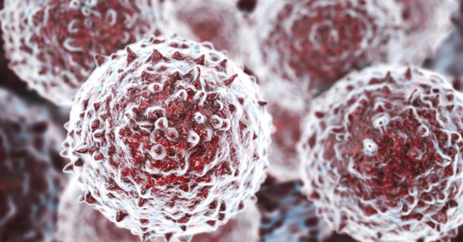 It was possible to transplant stem cells from one person to another