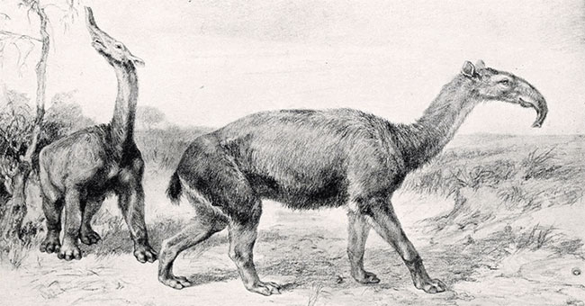 It will take millions of years of evolution to offset the number of extinct creatures in the next 50 years