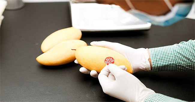 It's hard to believe the sticker helps fresh fruit for 10 days longer and is absolutely safe!