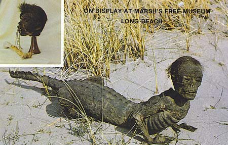 Jake - Crocodile legend