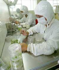 Japan and China increase investment in science