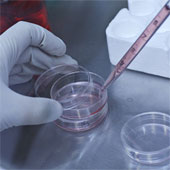 Japan created a breakthrough in cell technology