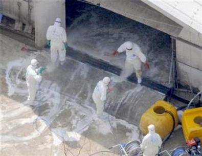 Japan discovered a new outbreak of bird flu