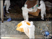 Japan discovered more H5N1 outbreak