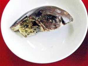 Japan: Found melon ... 2,100 years old