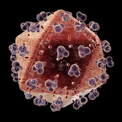 Japan found the structure of anti-HIV protein molecule