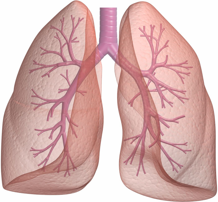 Japan identifies genes that cause lung cancer