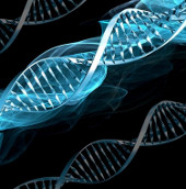 Japan is confident about the future of regenerative medicine