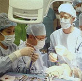 Japan successfully implanted liver cells for newborn patients