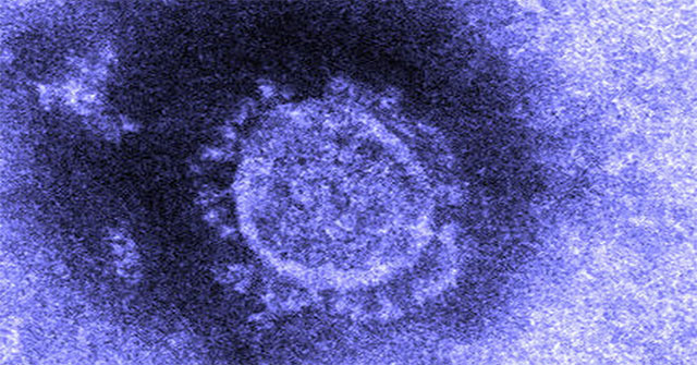 Japan successfully isolated corona virus