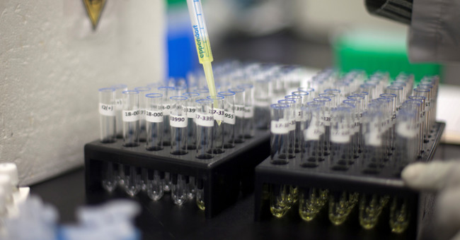 Japan tested the urine test for cancer detection