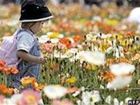 Japan: the number of children dropped to a record