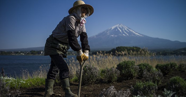 Japan uses robots instead of old farmers to secure food