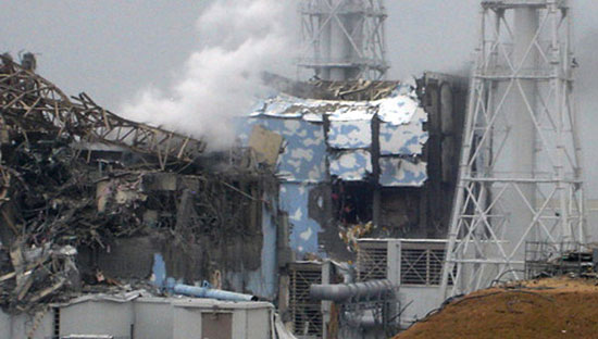 Japan: Vietnamese people are still missing in the March 11 disaster