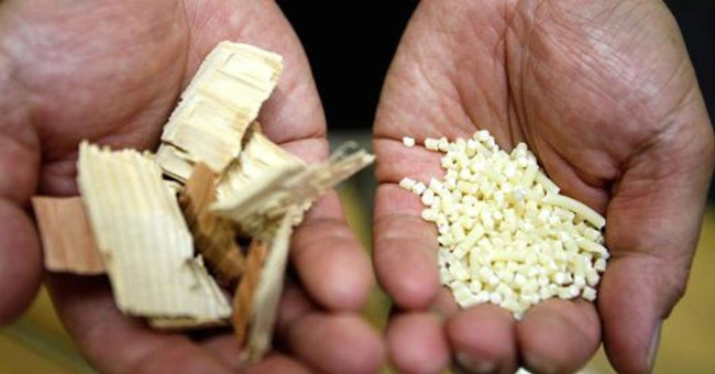 Japan wants to get wood for auto parts to make it light