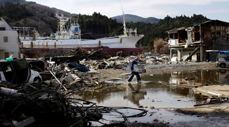 Japanese earthquake made land very serious