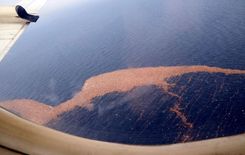 Japanese tsunami garbage to Hawaii