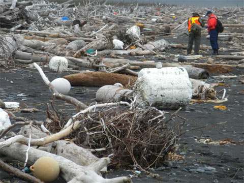 Japanese tsunami landed on Alaska