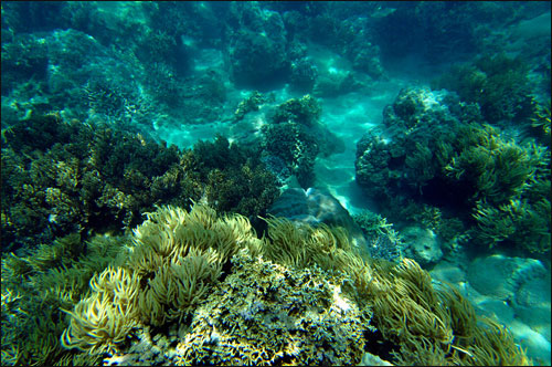 Joining hands to protect the marine environment in Nha Trang Bay