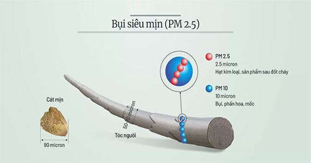 Journey of ultra-fine dust in human lungs