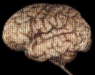'Jumping genes' create diversity in human brain cells