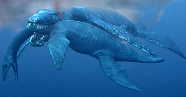 Jurassic fossils discovered Jurassic sea 10m long
