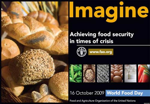 Keeping food security during the economic crisis
