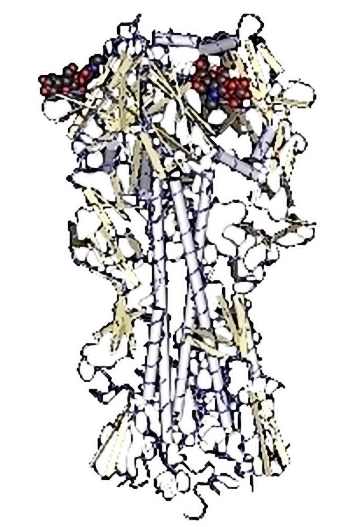 Key protein detection in H5N1 virus