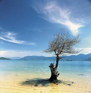 Khanh Hoa: There will be more marine protected areas