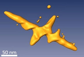 Kill cancer cells by shining light on gold-paired nanocrystals
