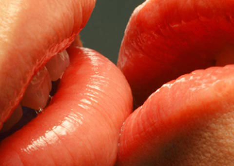 Kiss from a scientific perspective