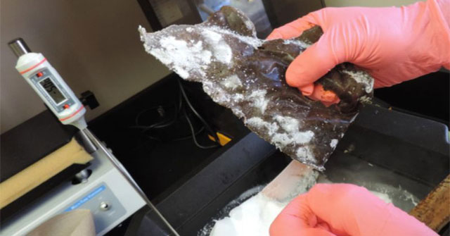 Knife made from feces: The improvisation of man or the big trick in 20 years?