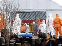 Korea discovered bird flu again